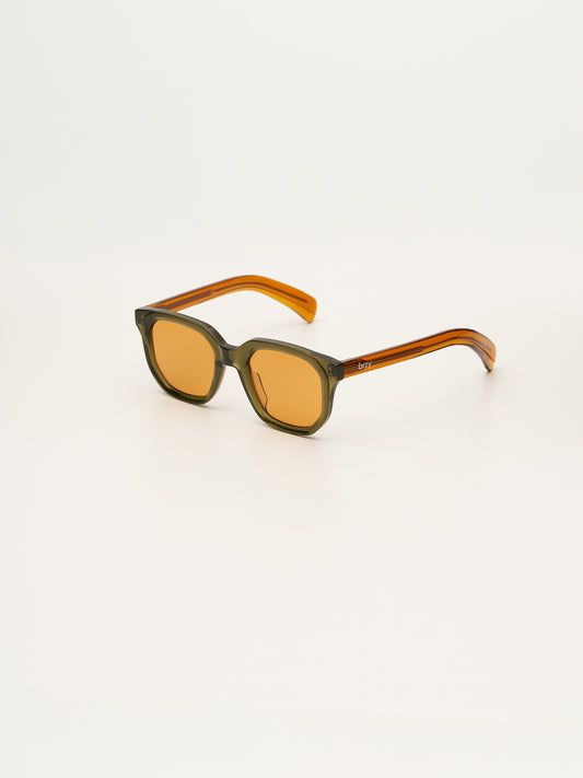 Nocturnal Sunglasses