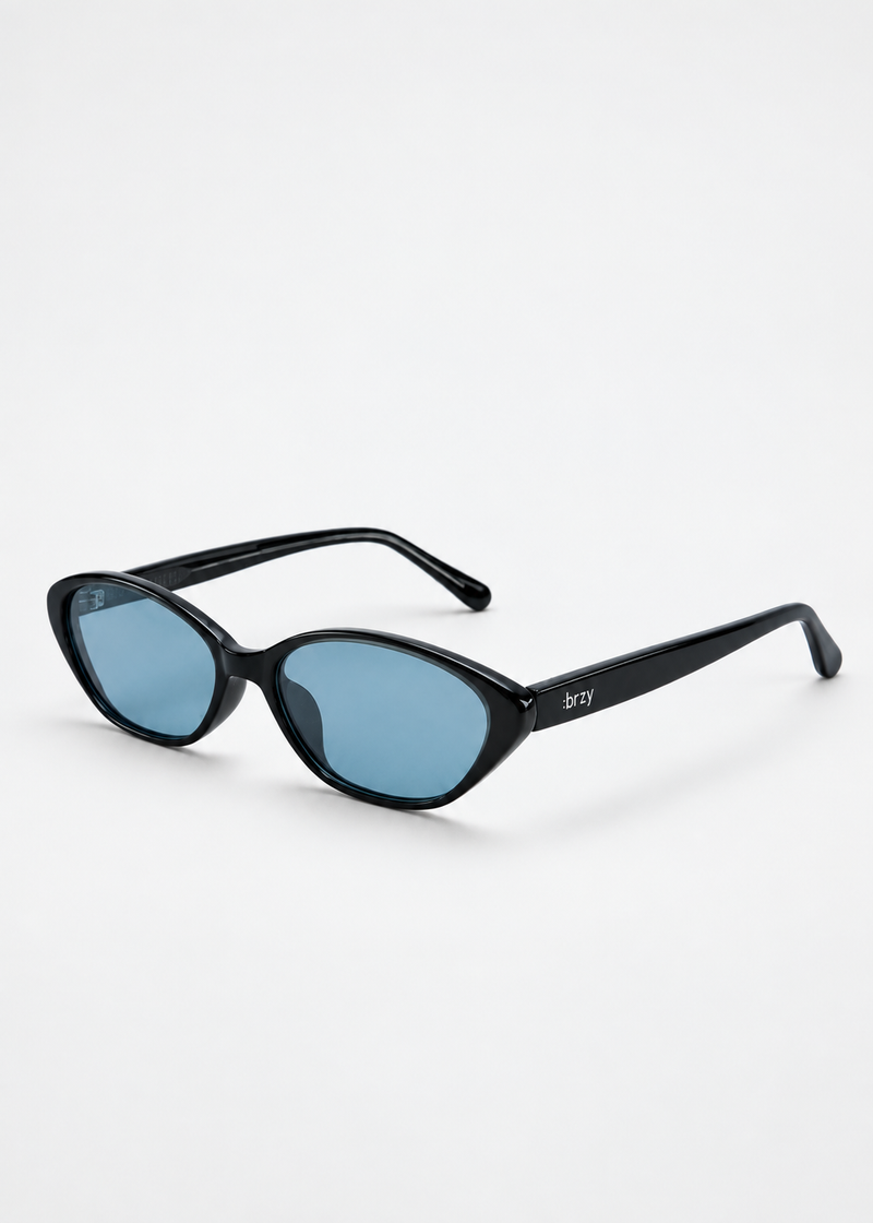 Drew Two-tone Tinted Sunglasses | Black & Blue